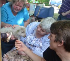 Making friends at the animal farm